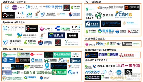 累計(jì)融資超70億元 國內(nèi)細(xì)胞免疫治療企業(yè)全圖譜與貿(mào)易代理新機(jī)遇